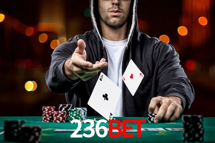 236bet login