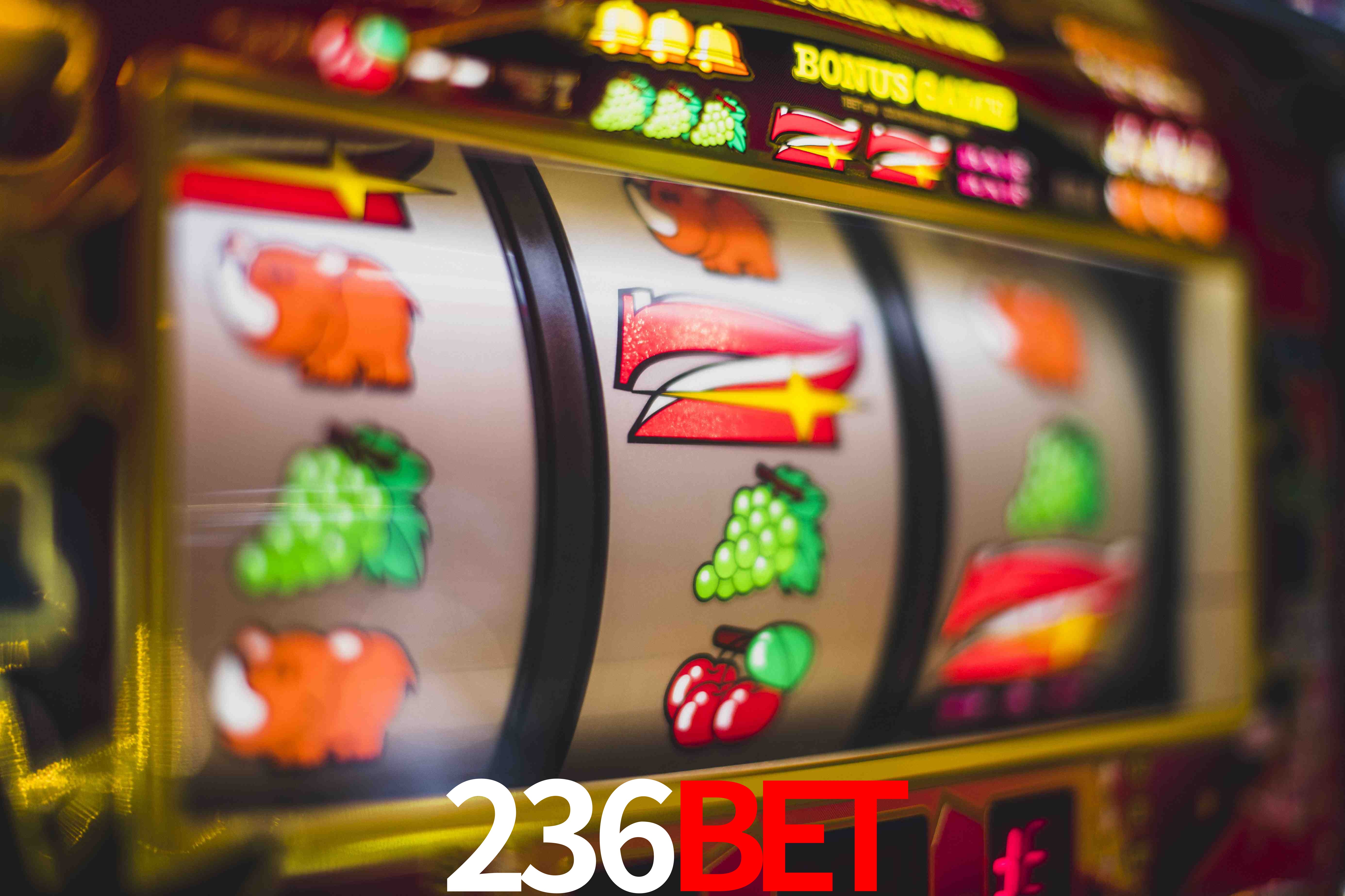 Sports Statistics 236bet
